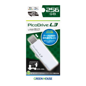 PicoDrive L3 256GB